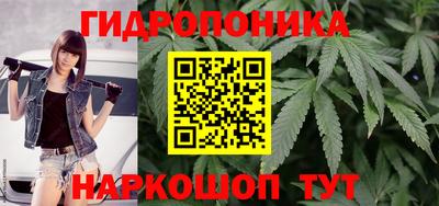 мяу мяу мука Малгобек